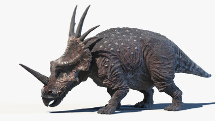 3d rendered illustration of a Styracosaurus