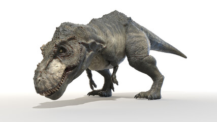 3d rendered illustration of a Tyrannosaurus Rex