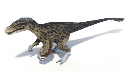 3d rendered illustration of an Utahraptor