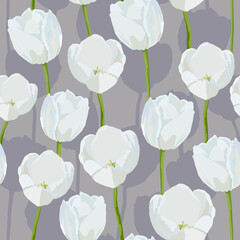 White tulips  seamless pattern