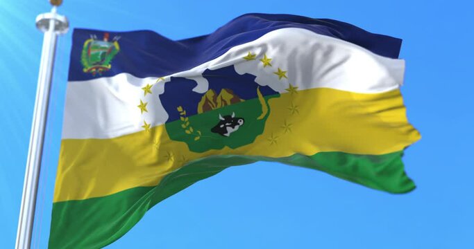 Guarico State Flag, Venezuela. Loop