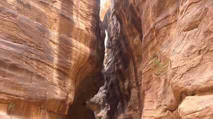 Tourist route through the gorge to Petra - Nabataean rock temple. Jordan