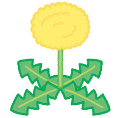 たんぽぽのシンプルでかわいいイラスト