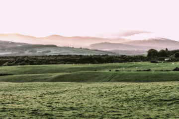 Fototapeta premium Rolling Hills at Sunrise, Ireland.