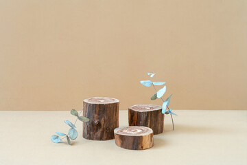 Three empty wooden podiums with rough texture and dry eucalyptus branches on beige background....