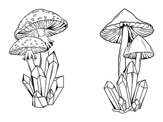 Set of mushrooms with crystals. Collection of magical plants. Witchcraft items. Mystical elements.Vector illustration of halloween object.