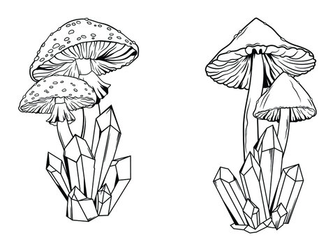 Set of mushrooms with crystals. Collection of magical plants. Witchcraft items. Mystical elements.Vector illustration of halloween object.