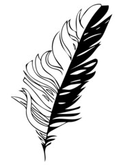 feather black and white