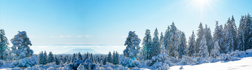 Stunning panorama of snowy landscape in winter in Black Forest - Snow view winter wonderland...