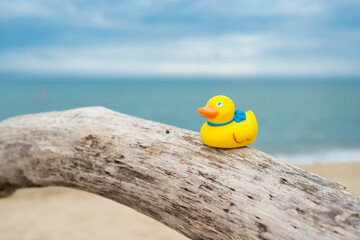 Yellow rubber duckling over a tree by the sea - a concept of vacation, tourism and travel - selective focus, space for text