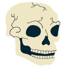 Bones, skull, human ribs in boho style