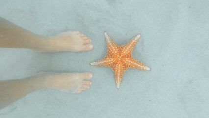 Fototapeta na wymiar starfish and feets under water