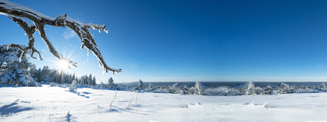 Stunning panorama of snowy landscape in winter in Black Forest - Snow view winter wonderland snowscape background banner with branch of tree, icicle blue sky and sunshine