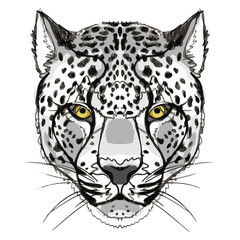Vector print with the image of the snout of a snow leopard in the form of a hand drawing. 