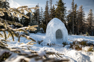 Snow igloo in the winter forest at mountains