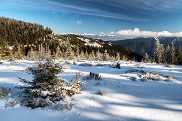 Fototapeta na wymiar Snowy winter landscape. View from Great Fatra mountains on High Tatras mountains, Slovakia