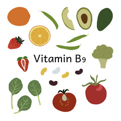 Collection of vitamin B9 sources. Food enriched with folates. Dietetic organic nutrition. Flat vector cartoon illustration.