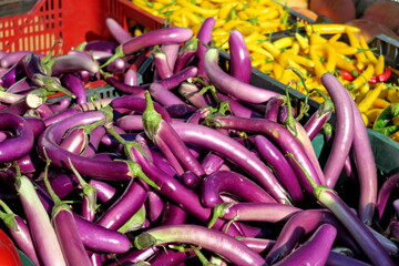Aubergines violettes au marché.