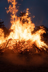 Fototapeta premium fire in the forest