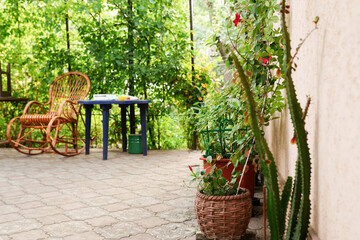 Fototapeta na wymiar Yellow house wall with plants. garden flowers in pots in the yard