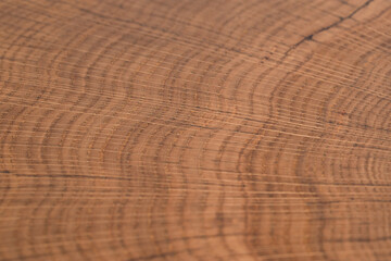 handmade table made of natural elm wood, isolated on a white background