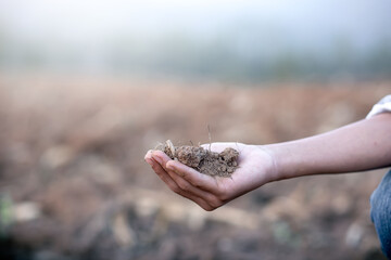 Close up soil in hand of young farmer for checks the soil in farm