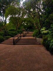 Singapore Footpath in the gardens and trees