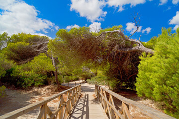 Fototapeta na wymiar Holzbrücke zum Strand auf Mallorca, Spanien