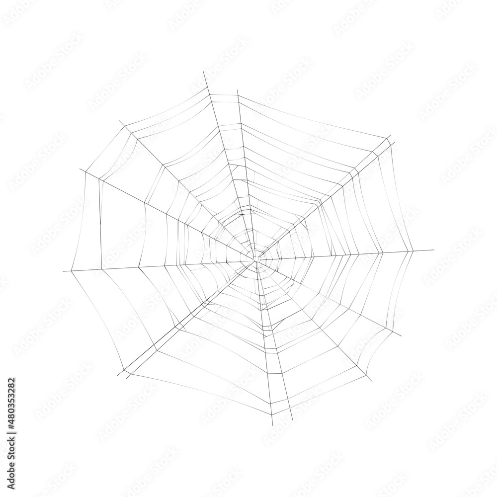 Canvas Prints Realistic Cobweb Illustration