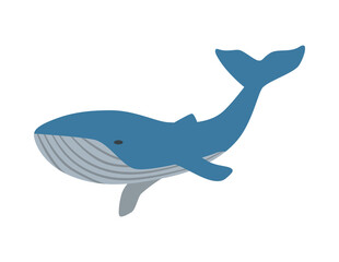 Blue Whale Icon