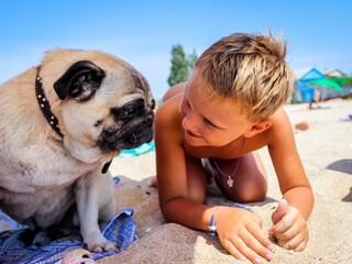 the boy communicates with a beige pug sitting on a sandy beach
