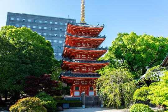 Tochoji Temple Images Browse 39 Stock Photos Vectors And Video Adobe Stock