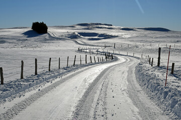 Aubrac - hiver