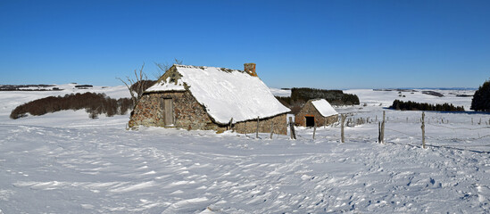 Aubrac - hiver