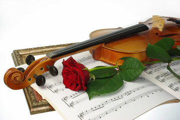 Violin, red rose and notes on a white background.Symbol of music.