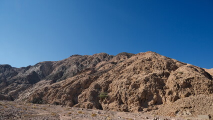 Fototapeta na wymiar Sinai mountains and oaisis