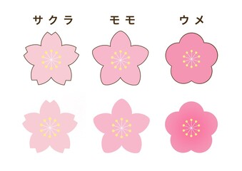 シンプルでかわいい桜の花、桃の花、梅の花のイラスト　