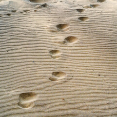 Fototapeta na wymiar Huellas de un pie humano en la arena de la playa