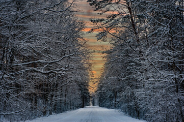 Snowy landscape, rural road in a forest. Snow all over. Winter snow cover the landscape.