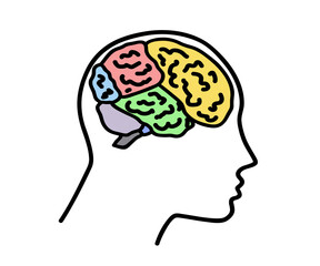 Areas of the brain and head. Symbol. Vector illustration.