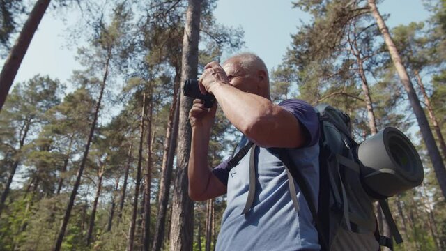 Senior photographer taking pictures of nature during hiking trip in summer forest. Realtime
