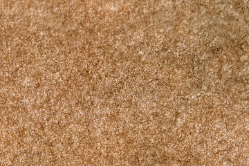 純朴な風合いの柿茶色の薄染和紙