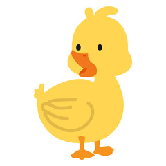 Cute little  yellow Duck flat