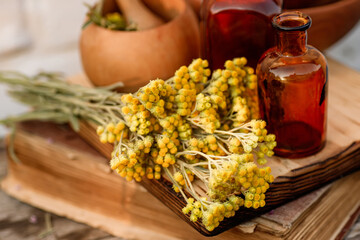 immortelle ,Curry Plant, Herb of St. John, Immortelle and botanically, Helichrysum arenarium. Homeopathy. old recipes in an herbalist's book. Apothecary of natural wellness and self-care.