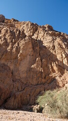 Sinai mountains and oaisis