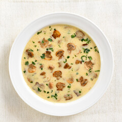 Creamy mushroom soup