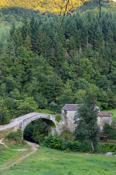 Medieval arch bridge in Giumella, National park Foreste Casentinesi, Campigna, Italy