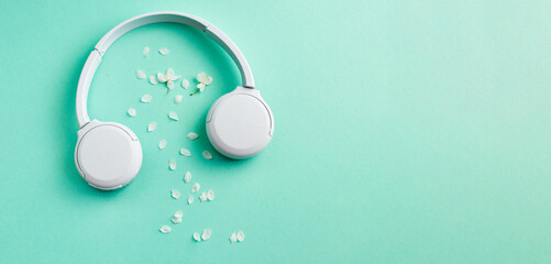 Music or podcast banner with headphones with cherry blossom on turquoise background. flat lay. Top...