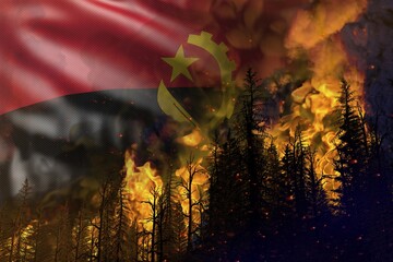 Forest fire natural disaster concept - infernal fire in the woods on Angola flag background - 3D illustration of nature
