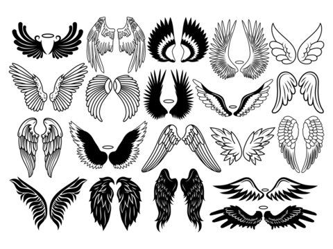 Set of different angel wings. Collection of wings with feathers. Holy symbols. Vector illustration of flying wings. Tattoo.
